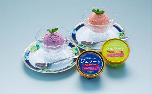 【アレルギー対応】 果樹園生まれの 無添加ジェラート 8個セット 『漆山果樹園』 山形県 南陽市 [227]