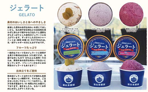 【アレルギー対応】 果樹園生まれの 無添加ジェラート 8個セット 『漆山果樹園』 山形県 南陽市 [227]