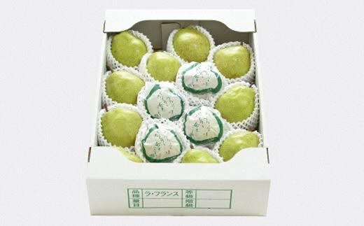 【令和8年産先行予約】 【ネオニコフリー】 大玉 ラ・フランス 約5kg (12～16玉 特秀 3～5L) 《令和8年11月上旬～発送》 『遠藤果樹農園』 山形県 南陽市 [1061-R8]