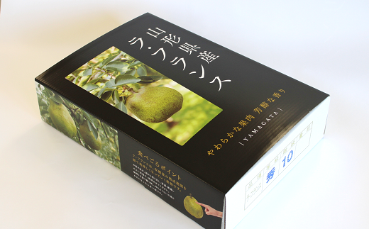 【令和7年産先行予約】 【ネオニコフリー】 大玉 ラ・フランス 約5kg (12～14玉 特秀 4～5L) 《令和7年11月上旬～発送》 『遠藤果樹農園』 厳選 こだわり ラフランス 西洋梨 洋なし 果物 フルーツ デザート 山形県 南陽市 [1061-R7]