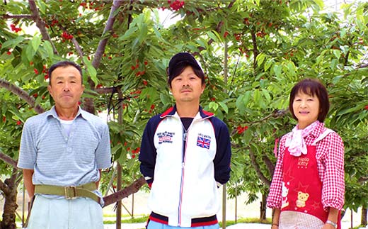 【令和8年産先行予約】 ラ・フランス 約5kg (19玉 秀 Lサイズ) 《令和8年11月上旬～発送》 『田口農園』 ラフランス 西洋梨 洋なし 果物 フルーツ デザート 山形県 南陽市 [1295-R8]