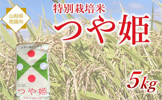 特別栽培米 つや姫 5kg 『松田観光果樹園』 山形南陽産 米 白米 ご飯 農家直送 山形県 南陽市 [2288]