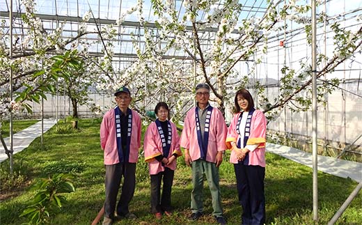 特別栽培米 つや姫 5kg 『松田観光果樹園』 山形南陽産 米 白米 ご飯 農家直送 山形県 南陽市 [2288]