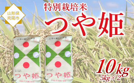 令和7年産 特別栽培米 つや姫 10kg 『松田観光果樹園』 山形南陽産 米 白米 ご飯 農家直送 山形県 南陽市 [2289]