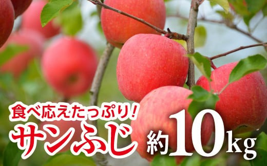 【令和7年産先行予約】 JA りんご 「サンふじ」 約10kg (28～40玉 秀) 《令和7年11月中旬～12月中旬発送》 『JA山形おきたま』 林檎 リンゴ 果物 フルーツ 山形県 南陽市 [720-R7]