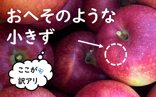 【令和7年産先行予約】 〈訳あり品 家庭用〉 JA りんご 「サンふじ」 約10kg (28玉～46玉) 《令和7年11月中旬～12月中旬発送》 『JA山形おきたま』 林檎 リンゴ 果物 フルーツ 山形県 南陽市 [1410-R7]