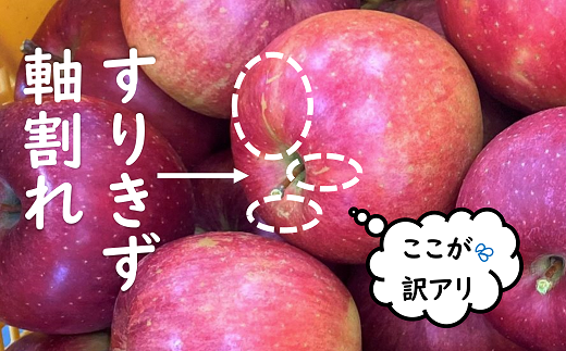 【令和7年産先行予約】 〈訳あり品 家庭用〉 JA りんご 「サンふじ」 約10kg (28玉～46玉) 《令和7年11月中旬～12月中旬発送》 『JA山形おきたま』 林檎 リンゴ 果物 フルーツ 山形県 南陽市 [1410-R7]