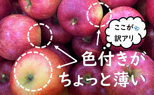 【令和8年産先行予約】 〈訳あり品 家庭用〉 JA りんご 「サンふじ」 約10kg (28～46玉) 《令和8年11月中旬～12月中旬発送》 『JA山形おきたま』 林檎 リンゴ 果物 フルーツ 山形県 南陽市 [1410-R8]