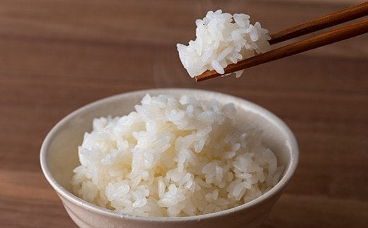 【令和7年産 新米 先行予約】 【金賞受賞農家】 特別栽培米 いのちの壱 5kg 《令和7年10月中旬～発送》 『あおきライスファーム』 山形南陽産 米 白米 精米 ご飯 農家直送 山形県 南陽市 [1548-RR7]