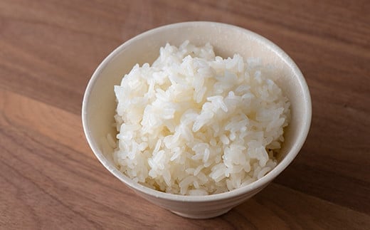 【令和7年産 新米 先行予約】 【金賞受賞農家】 特別栽培米 雪若丸 5kg 《令和7年10月上旬～発送》 『あおきライスファーム』 山形南陽産 米 白米 精米 ご飯 農家直送 山形県 南陽市 [1547-RR7]