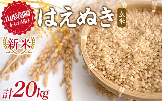 【令和8年産 新米 先行予約】 はえぬき (玄米) 20kg (10kg×2袋) 《令和8年9月下旬～発送》 『マルタニ農園』 山形南陽産 米 ご飯 農家直送 山形県 南陽市 [2391-R8]