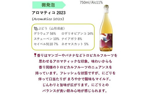 NEW NANYO弾ける泡セット 750ml × 2本 『(株)グレープリパブリック』 シードル 微発砲ワイン 山形県 南陽市 [2337]
