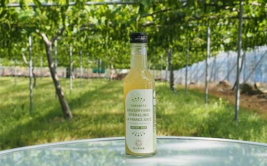 漆山果樹園ミニドリンクセット 「漆山ワイン ＆ 果汁100%ジュース & スパークリングジュース」 計7本 『漆山果樹園』 山形県 南陽市 [2354]