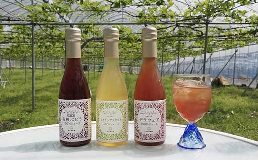 漆山果樹園ミニドリンクセット 「漆山ワイン ＆ 果汁100%ジュース & スパークリングジュース」 計7本 『漆山果樹園』 山形県 南陽市 [2354]