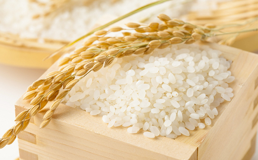 令和7年産 JA 雪若丸 10kg (5kg×2袋) 『JA山形おきたま』 山形県産 米 精米 山形県 南陽市 [843]