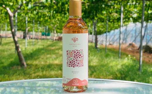 果樹園生まれの 漆山果樹園デラウェアワイン 「漆山ワイン (デラウェア) + 漆山スパークリングワイン (デラウェア)」 2種 各750ml 計2本セット 『漆山果樹園』 山形県 南陽市 [1524]