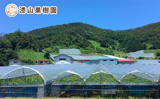 果樹園生まれの ドライフルーツ 「陽果ドライ」 おまかせ8個詰合せ 『漆山果樹園』 山形県 南陽市 [3031]