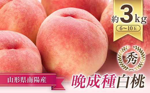 【令和8年産先行予約】 晩成のもも「だて白桃・さくら・西王母 等」 約3kg (6～11玉) 《令和8年9月中旬～発送》 『生産者 高橋 賢一』 山形県 南陽市 [1107-R8]
