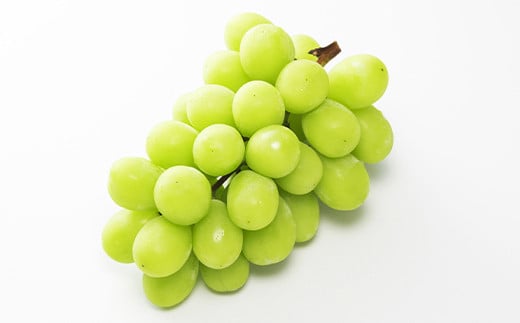 【令和8年産先行予約】 シャインマスカット 約4kg (5～8房 秀) 《令和8年9月中旬～発送》 『生産者おまかせ』 マスカット ぶどう 果物 フルーツ デザート 山形県 南陽市 [636-R8]