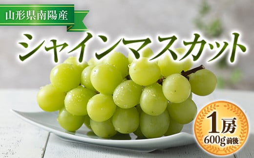 【令和8年産先行予約】 シャインマスカット 600g前後 (1房) 《令和8年9月中旬～発送》 『漆山果樹園』山形県 南陽市 [811-R8]
