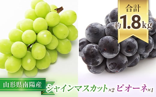 【令和8年産先行予約】 シャインマスカット 2房 ＋ ピオーネ 1房 《令和8年9月中旬～発送》 『漆山果樹園』山形県 南陽市 [812-R8]