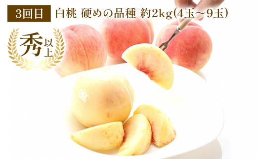 【令和8年産先行予約】 《定期便3回》 桃三昧の楽園便 『フードシステムズ』 もも モモ 果物 フルーツ 山形県 南陽市 [2257-R8]
