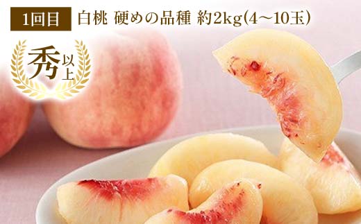 【令和8年産先行予約】 《定期便3回》 秋冬フルーツの美味しさトップ3定期便 『フードシステムズ』 桃 シャインマスカット りんご 果物 フルーツ 山形県 南陽市 [2263-R8]