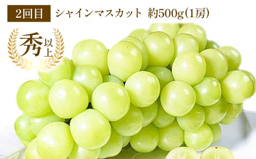 【令和8年産先行予約】 《定期便3回》 秋冬フルーツの美味しさトップ3定期便 『フードシステムズ』 桃 シャインマスカット りんご 果物 フルーツ 山形県 南陽市 [2263-R8]