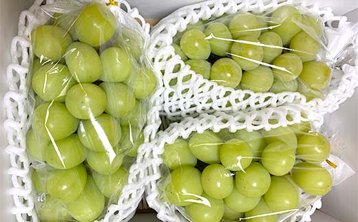 【令和8年産先行予約】 シャインマスカット 1.8kg前後 (3～4房入り) 《令和8年9月下旬～発送》 『きらめきぶどう園』 ぶどう 果物 フルーツ デザート 山形県 南陽市 [858-R8]