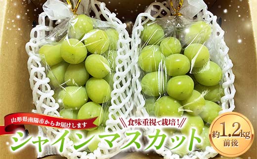 【令和8年産先行予約】 シャインマスカット 1.2kg前後 (2房入り) 《令和8年9月下旬～発送》 『きらめきぶどう園』 ぶどう 果物 フルーツ デザート 山形県 南陽市 [2393-R8]