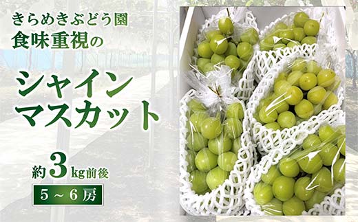 【令和8年産先行予約】 シャインマスカット 3kg前後 (5～6房入り) 《令和8年9月下旬～発送》 『きらめきぶどう園』 ぶどう 果物 フルーツ デザート 山形県 南陽市 [2426-R8]