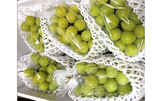 【令和8年産先行予約】 シャインマスカット 3kg前後 (5～6房入り) 《令和8年9月下旬～発送》 『きらめきぶどう園』 ぶどう 果物 フルーツ デザート 山形県 南陽市 [2426-R8]