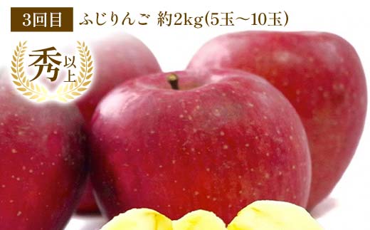 【令和8年産先行予約】 《定期便3回》 秋冬フルーツ定期便 『フードシステムズ』 シャインマスカット ラ・フランス りんご 果物 フルーツ 山形県 南陽市 [1150-R8]
