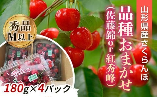 【令和8年産先行予約】 さくらんぼ 「佐藤錦または紅秀峰」 720g (180g×4パック 秀 M以上) 《令和8年6月中旬～発送》 『南陽中央青果市場』  山形県 南陽市 [2583]
