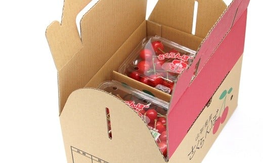 【令和8年産先行予約】 さくらんぼ 「佐藤錦または紅秀峰」 720g (180g×4パック 秀 M以上) 《令和8年6月中旬～発送》 『南陽中央青果市場』  山形県 南陽市 [2583]