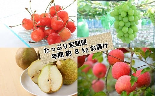 【令和8年産先行予約】 《定期便3回》 くだもの”たっぷり”定期便 『南陽中央青果市場』 さくらんぼ シャインマスカット りんご ラ・フランス 山形県 南陽市 [1970-R8]