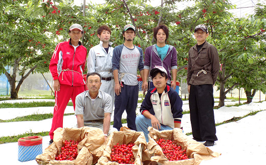 【令和8年産先行予約】 さくらんぼ 「佐藤錦」 約1kg (秀 L以上) バラ詰め 《令和8年6月中旬～発送》 『田口農園』 サクランボ フルーツ 産地直送 生産農家直送 山形県 南陽市 [1129]
