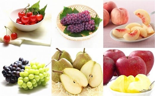 【令和8年産先行予約】 《定期便6回》 フルーツ満喫定期便B 『フードシステムズ』 さくらんぼ 桃 ぶどう シャインマスカット ラ・フランス りんご 果物 フルーツ 山形県 南陽市 [1139-R8]