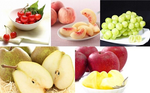 【令和8年産先行予約】 《定期便4回》 フルーツ味わい定期便B 『フードシステムズ』 さくらんぼ 桃 シャインマスカット ラ・フランス りんご 果物 フルーツ 山形県 南陽市 [1141-R8]