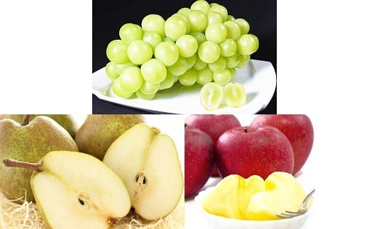 【令和8年産先行予約】 《定期便3回》 秋冬フルーツ定期便 『フードシステムズ』 シャインマスカット ラ・フランス りんご 果物 フルーツ 山形県 南陽市 [1150-R8]