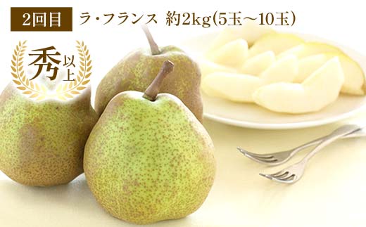 【令和8年産先行予約】 《定期便3回》 秋冬フルーツ定期便 『フードシステムズ』 シャインマスカット ラ・フランス りんご 果物 フルーツ 山形県 南陽市 [1150-R8]
