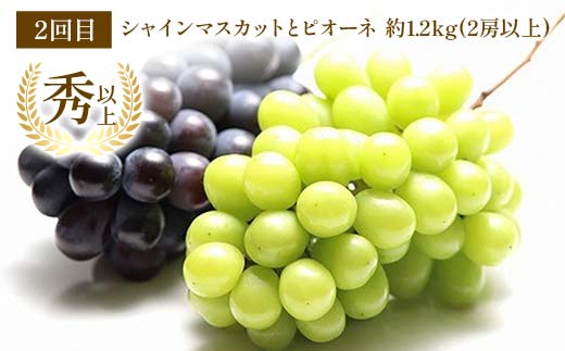 【令和8年産先行予約】 《定期便4回》 家庭で楽しむフルーツ定期便B 『フードシステムズ』 山形県 南陽市 [1253-R8]