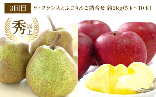 【令和8年産先行予約】 《定期便4回》 家庭で楽しむフルーツ定期便B 『フードシステムズ』 山形県 南陽市 [1253-R8]