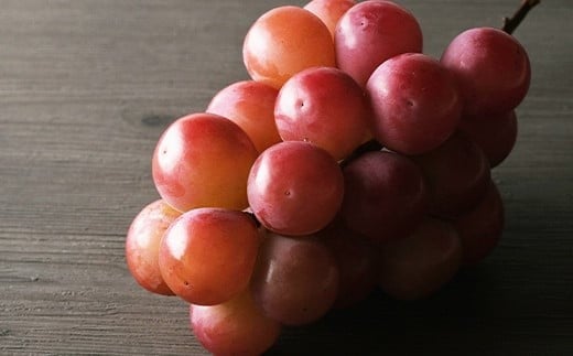 【令和8年産先行予約】 大粒ぶどう3種プレミアムセット 4房 《令和8年9月上旬～発送》 『うえ木ぶどう園』 葡萄 ブドウ 果物 フルーツ デザート 食べ比べ 山形県 南陽市 [676]