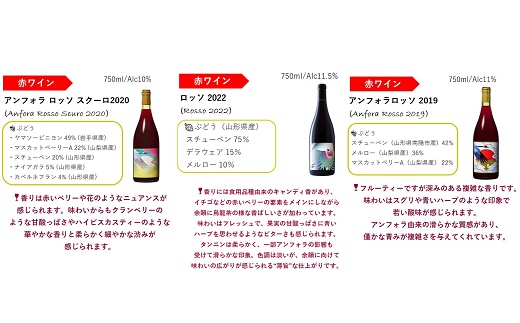 グレリパ チルドレッド 3本セット part.2 750ml × 3本 『(株)グレープリパブリック』 赤ワイン 山形県 南陽市 [2604]