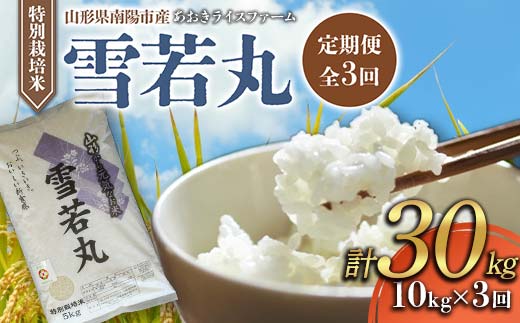 【金賞受賞農家】 《定期便3回》 令和7年産 特別栽培米 雪若丸 計10kg(5kg×2袋)×3か月 『あおきライスファーム』 山形南陽産 米 白米 精米 ご飯 農家直送 山形県 南陽市 [2408]