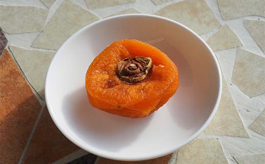 果樹園生まれの 常温乾燥機で作る 「陽果ドライ まるごと干し柿」 10個 《令和7年12月上旬～発送》 『漆山果樹園』 山形県 南陽市 [853]