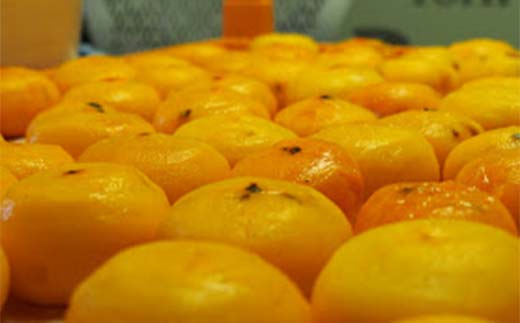 果樹園生まれの 常温乾燥機で作る 「陽果ドライ まるごと干し柿」 10個 《令和7年12月上旬～発送》 『漆山果樹園』 山形県 南陽市 [853]