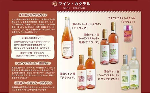 果樹園生まれの 漆山果樹園ワイン 「漆山ワイン (デラウェア)」 「漆山ワイン (シャインマスカット×ロザリオビアンコ)」 750ml 各6本 計12本セット 『漆山果樹園』 オレンジワイン 白ワイン 山形県 南陽市 [2615]