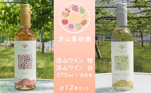 果樹園生まれの 漆山果樹園ワイン 「漆山ワイン (デラウェア)」 「漆山ワイン (シャインマスカット×ロザリオビアンコ)」 375ml 各6本 計12本セット 『漆山果樹園』 オレンジワイン 白ワイン 山形県 南陽市 [2616]
